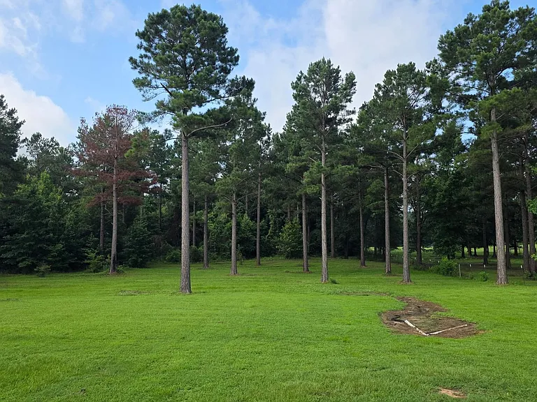 136 Alan Pvt Dr — Photo 18