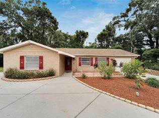 202 Wense Ave, Seffner, FL 33584