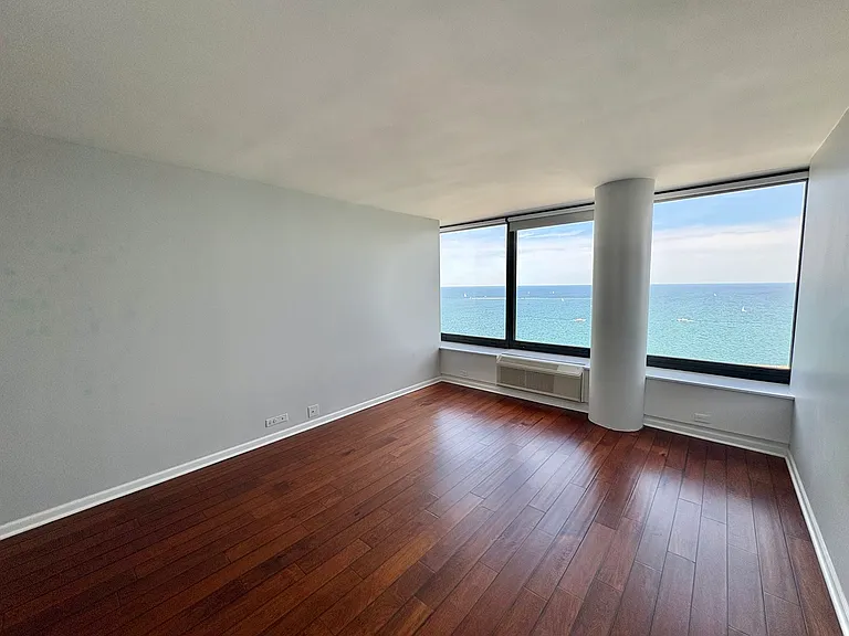155 N Harbor Dr #2411 — Photo 15