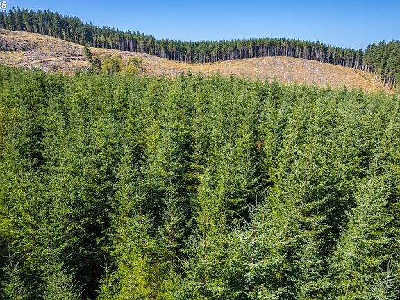 2nd image of 0 Bald Mountain Rd
