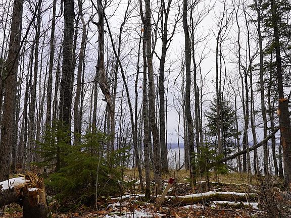5th image of 1 E Shore Rd #E