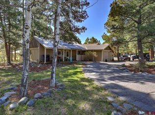 394 Handicap Ave, Pagosa Springs, CO 81147