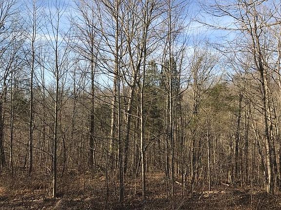 3rd image of 0 Old Highway 31e Ct Lot 3&7