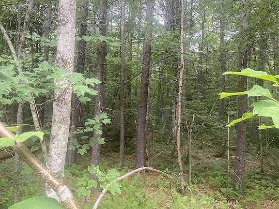 4th image of 132 Crooked Ledge Rd