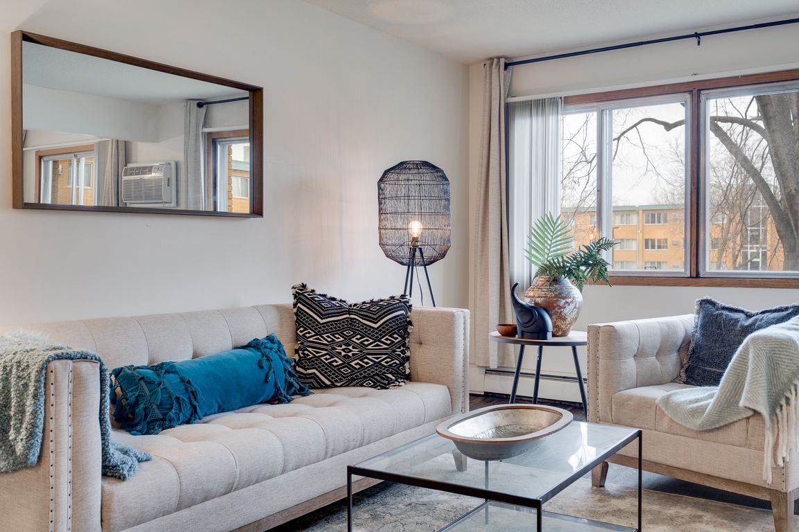 Large Natural Light Windows