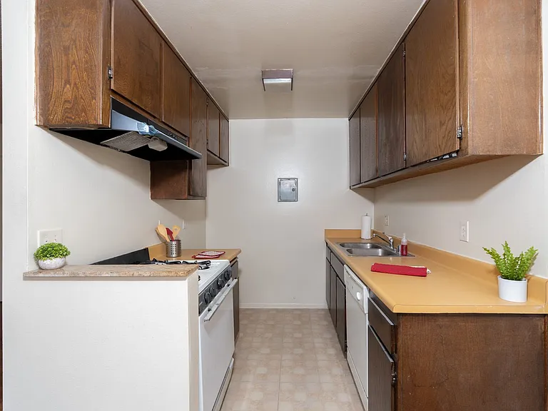 1007Lomi — Photo 15