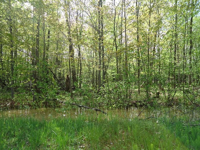 1st image of LOT 105 Westwood Dr