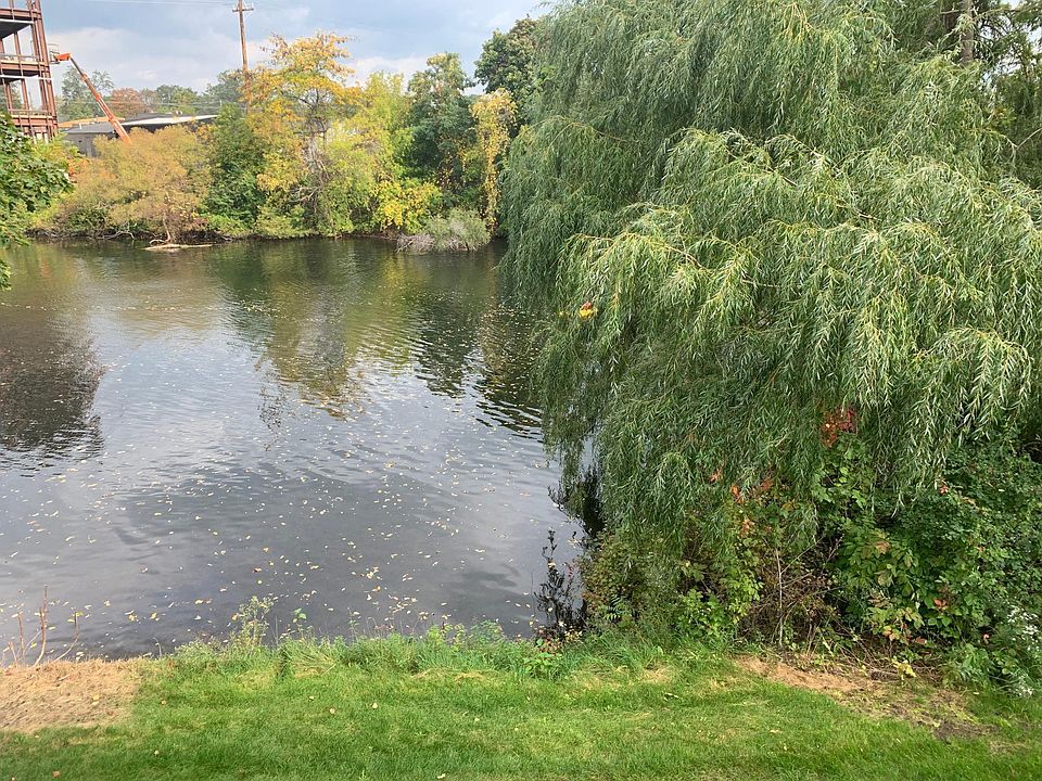 View from deck