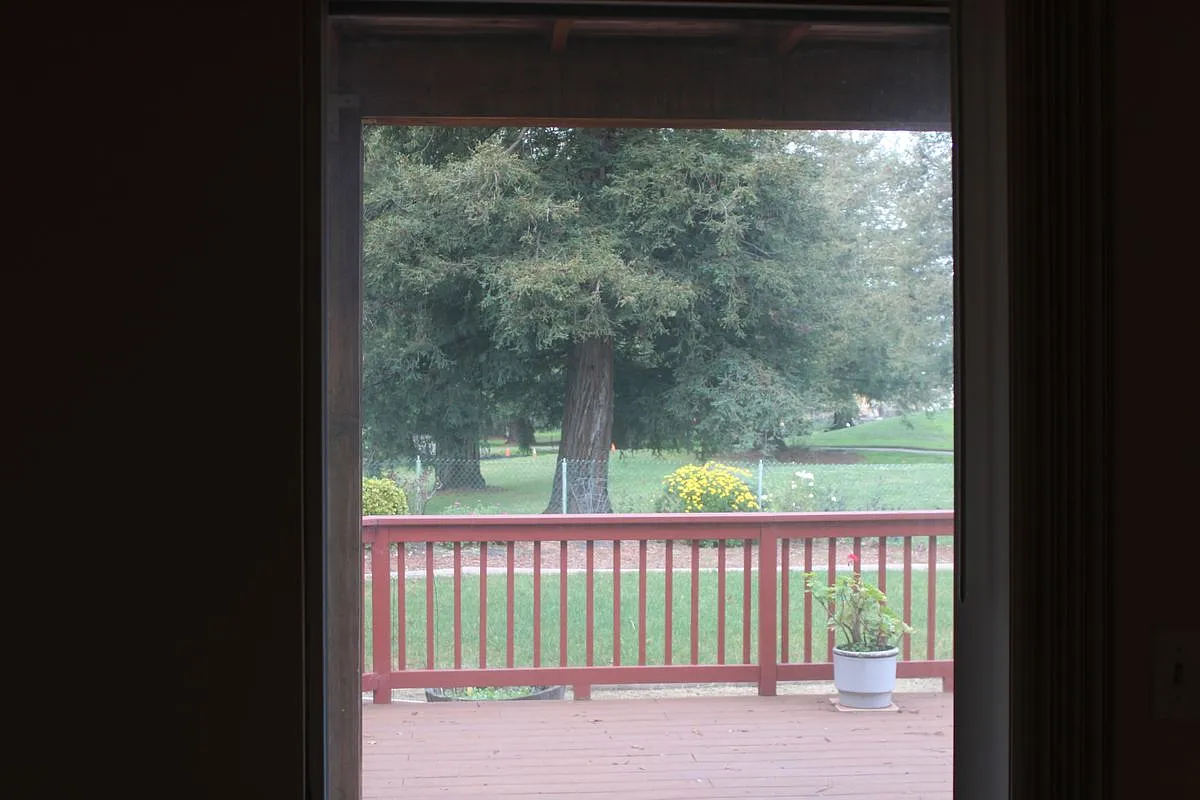1 bed, 1.0 bath, 725 sqft, $2,000 — Photo 1