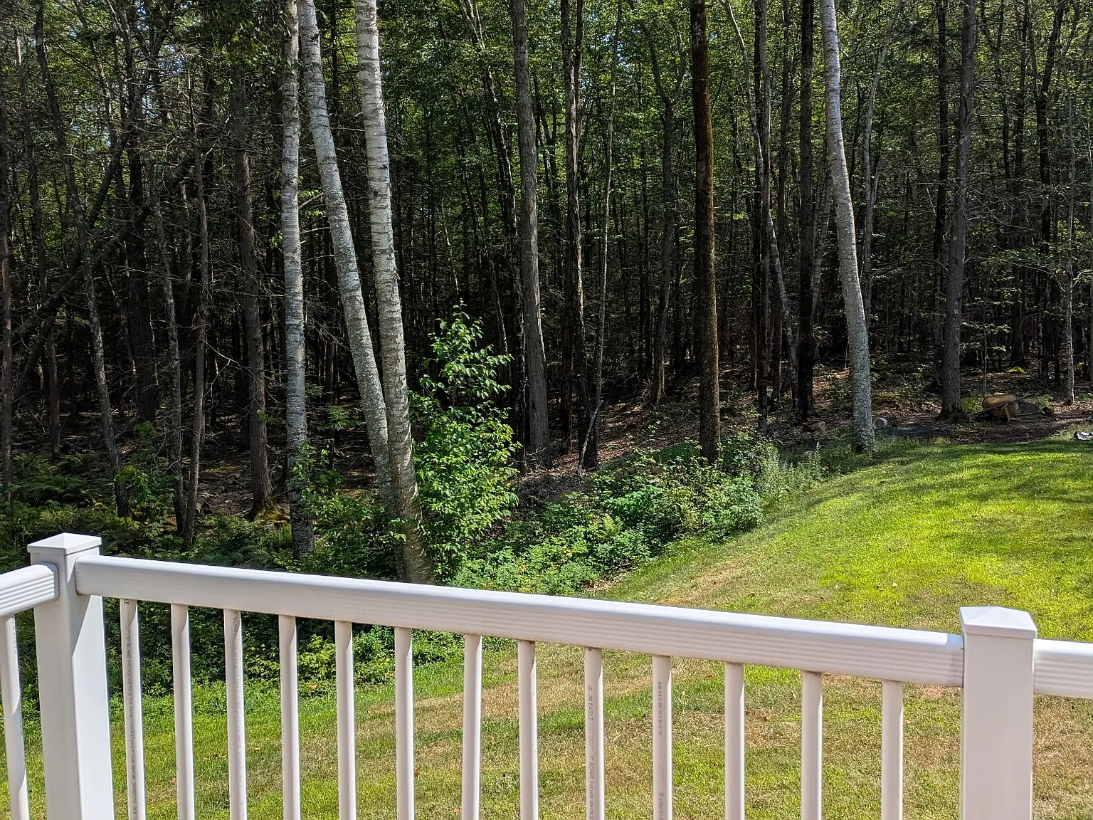 1 bed, 500 sqft, $1,750 — Photo 4