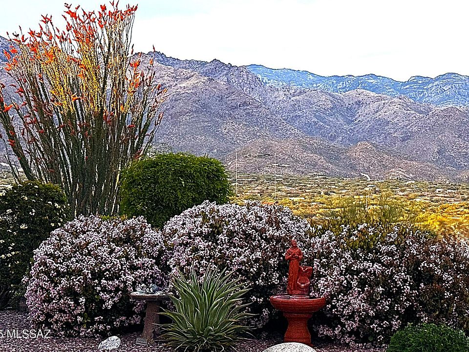 【コラソン】NEIGHBORHOOD TAPERED-S P-PLANT コラソン】NEIGHBORHOOD TAPERED-S P-PLANT コラソン】NEIGHBORHOOD