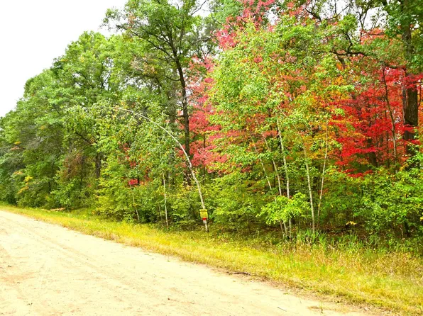 21 Olaf Trl, Browerville, MN 56438