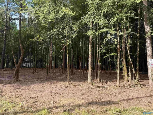 19 County Road 1011, Centre, AL 35960