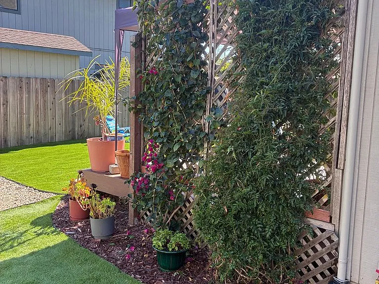 2436 Paul Minnie Ave — Photo 19