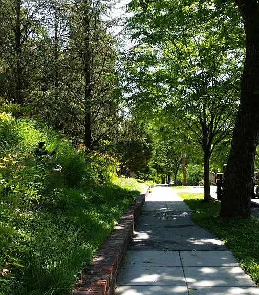 2934 Albemarle St NW #100 — Photo 10