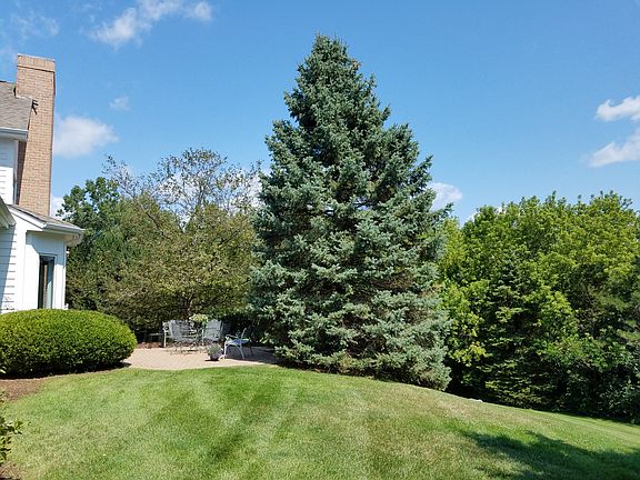 Side Yard from Driveway