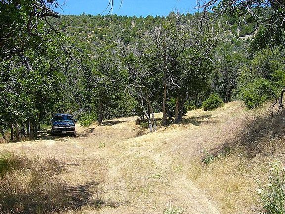 5th image of 40 Acres Off Scarface Rd
