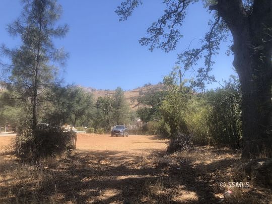 5th image of Woodland
