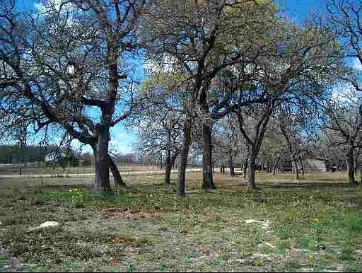 4th image of 586 HICKORY FOREST