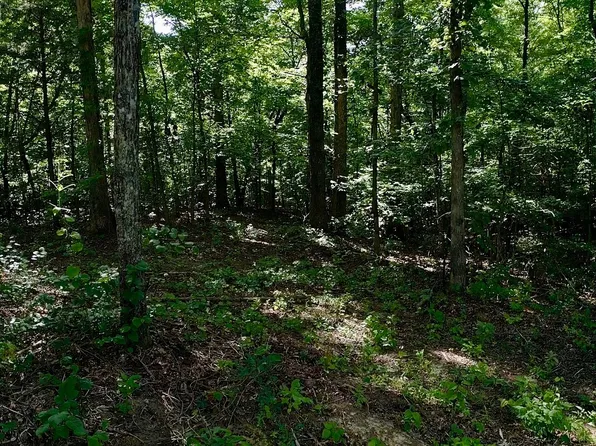 0 Jeanette Holladay Rd, Parsons, TN 38363