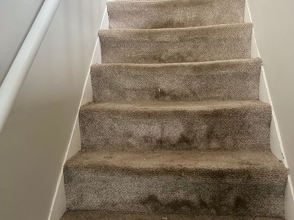 4th image of 45 Saratoga St #45