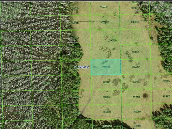 Deen Still Rd Lot B-189, Polk City, FL 33868