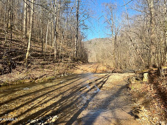 2nd image of Skyline Dr