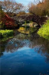 Rented by Buchbinder & Warren