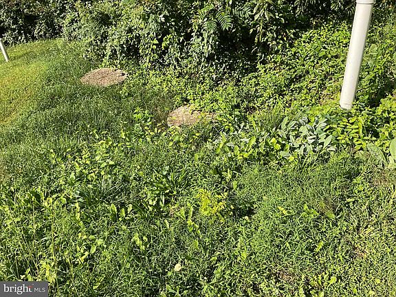 5th image of 173 Wenzel Rd