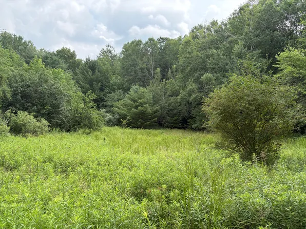 11546 E 3 1/2 Mile Rd, Luther, MI 49656