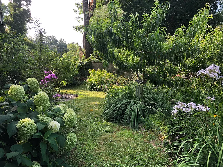 Overlook Dr — Photo 2