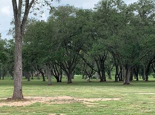 33302 Blue Crab Ct, Richwood, TX 77515