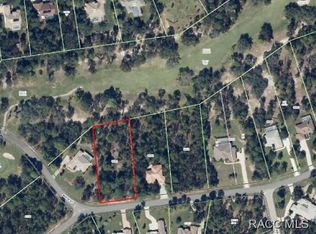 36 Beech St, Homosassa, FL 34446