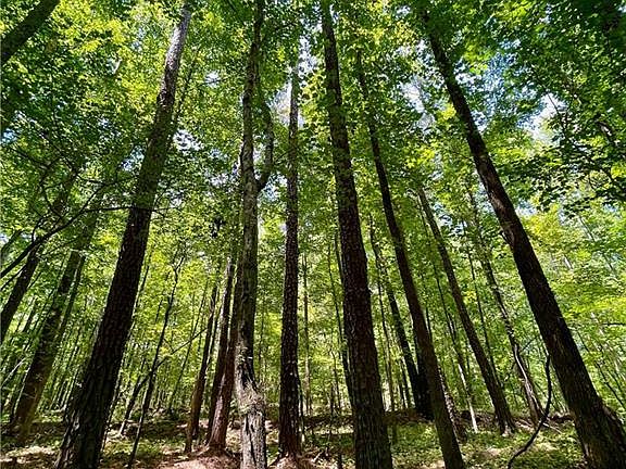 4th image of 3961 Panola Rd