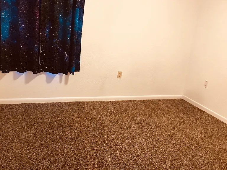 915 Shirley Ann Trl #915 — Photo 12