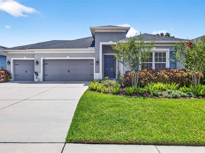 17651 Bright Wheat Dr, Lithia, FL, 33547