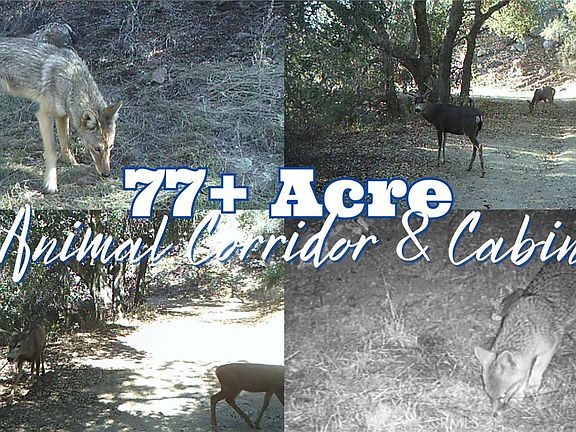 3rd image of 28618 Chihuahua Valley Rd