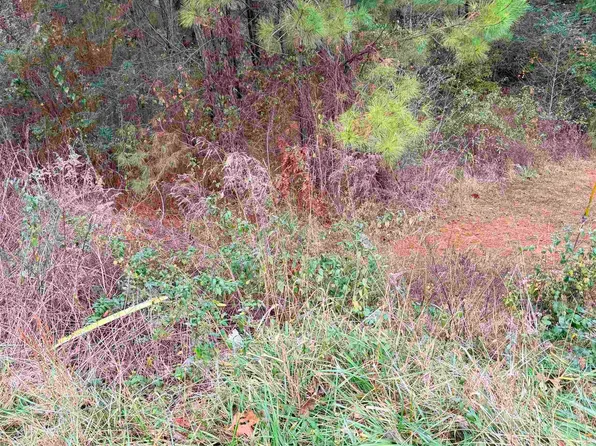 0 Armstrong Loop #0, Hayden, AL 35079
