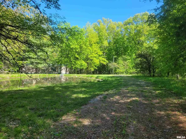 162 N Foxville Rd, Kell, IL 62853