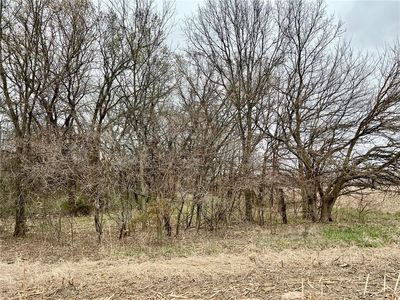 TRACT 3 Highway Tt, Odessa, MO, 64076