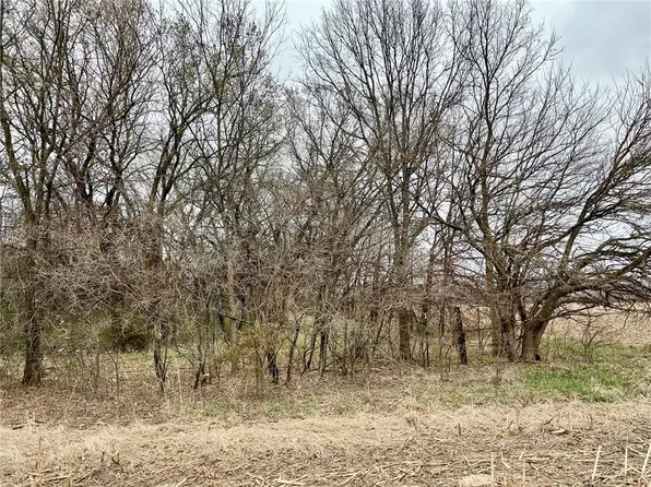 TRACT 2 Dade School Rd, Odessa, MO 64076