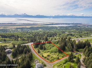 1365 Dons Dr, Homer, AK 99603