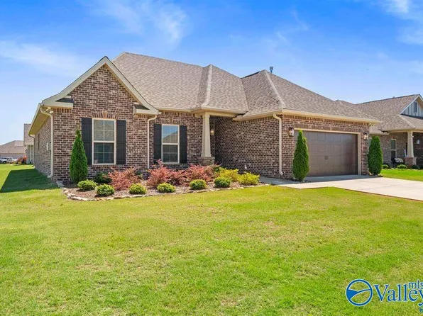 100 Tanner Drake Ct, New Market, AL 35761