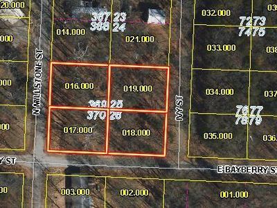 4 Lots Ivey And W. Bayberry Street, Shell Knob, MO, 65747