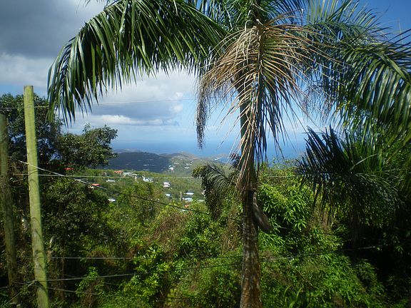 the View