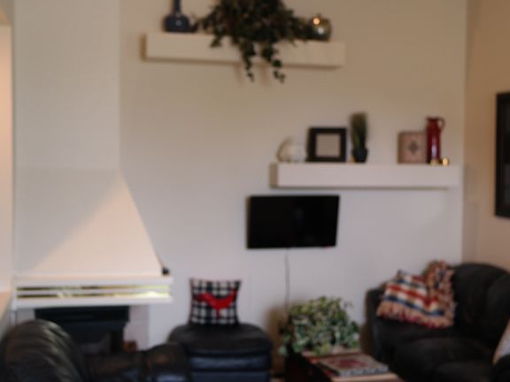 3rd image of 1319 E Pantera Ln