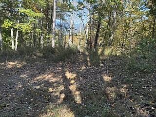 4th image of LOT 49 Elkhorn Ridge Dr