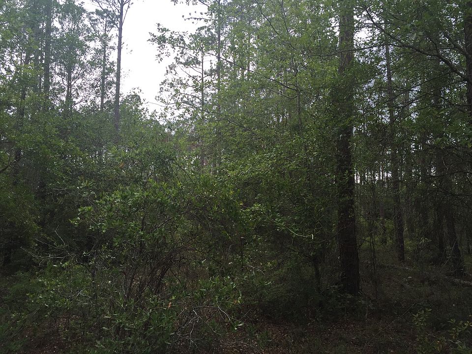 2nd image of LT 93 Bk G Smrb
