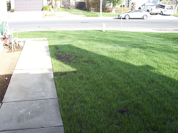 New lawn III 02-07