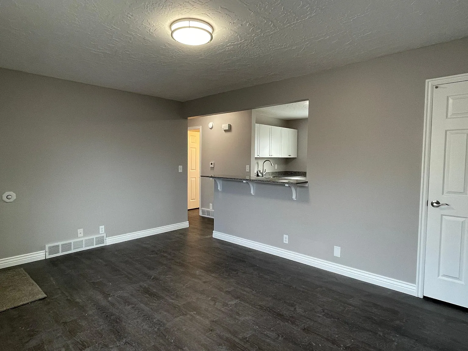 1224 W Indiana Ave — Photo 4